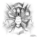 Spider tattoo design idea