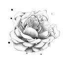 Peony Rose tattoo design idea