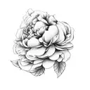 Peony Rose tattoo design idea
