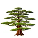 cypress seed tree tattoo design idea