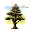 cypress seed tree tattoo design idea