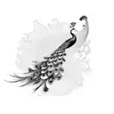 Peacock tattoo design idea