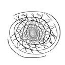 Golden Spiral, Nature, Trees, Fibonacci Sequence,  tattoo design idea
