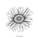 Daisy TATE tattoo design idea