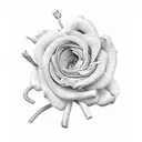 flower for bicep man 16cm tattoo design idea