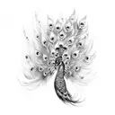 Peacock tattoo design idea