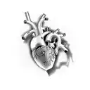 anatomically correct heart as a globe tattoo design idea