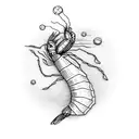 minimal shrimp tattoo design idea