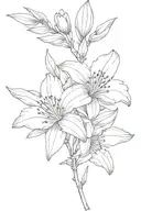 Nerium oleander tattoo design idea