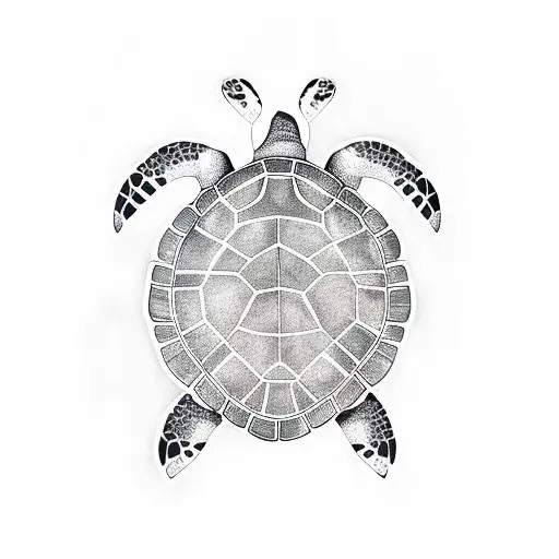turtle  tattoo design idea