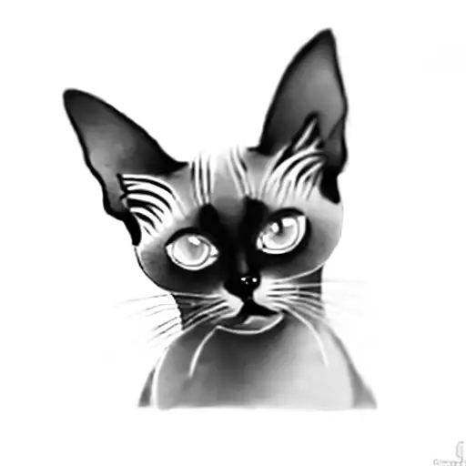 siamese cat tattoo design idea