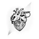 anatomical heart with snake and dagger tattoo design idea