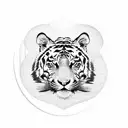 A blackwork tattoo featuring a tiger resting on a crescent moon tattoo design idea