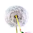 Dandelion tattoo design idea