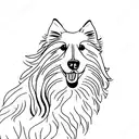 shetland sheepdog tattoo design idea