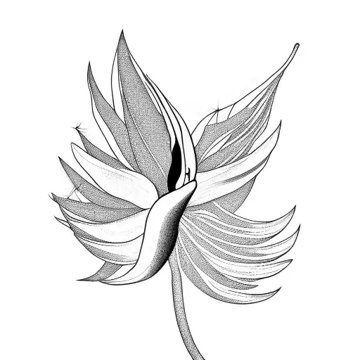 Bird of Paradise tattoo design idea