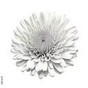 Chrysanthemum tattoo design idea