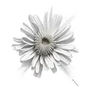 Chrysanthemum tattoo design idea