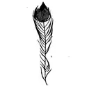 a lotus flower and a feather tattoo design idea