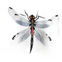 Dragonfly tattoo design idea