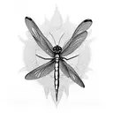 Dragonfly tattoo design idea