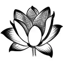 Lotus Flower, daffodil, daisy, tulip tattoo design idea
