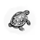 a stunning and striking design of a turtle with a skull as its shell, depicted in a neo-traditional style with black and tattoo design idea