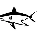 blacktip shark tattoo design idea