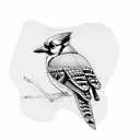 Blue jay tattoo design idea
