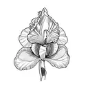  purple iris tattoo design idea