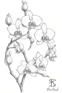 black line that is a stamp that has bud flowers and orchids inside and tattoo design idea