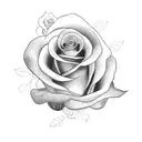 Bella cursive name rose tattoo design idea