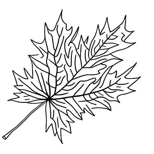 Maple Leaf tattoo design idea