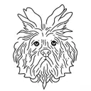 Harry Styles tattoo design idea