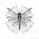 Dragonfly with geometric shapes and patterns inspired by educational tools tattoo design idea