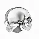 skull with beard with square bottom, sunglasses, hipster haircut tattoo design idea