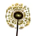 Dandelion tattoo design idea