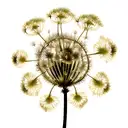 Dandelion tattoo design idea