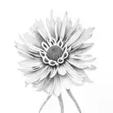 Coreopsis tattoo design idea