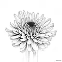 Chrysanthemums tattoo design idea
