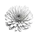 Chrysanthemums tattoo design idea