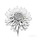 Chrysanthemums tattoo design idea
