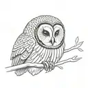 barred owl tattoo design idea