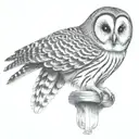 barred owl tattoo design idea