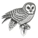 barred owl tattoo design idea
