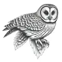 barred owl tattoo design idea