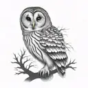 barred owl tattoo design idea