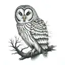 barred owl tattoo design idea