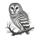 barred owl tattoo design idea