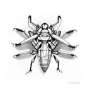 locust tattoo design idea